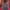 The North Face Gorpcore Track jacket Pria black red photo 1