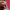 The North Face Gorpcore Track jacket Pria black red photo 6