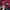 The North Face Gorpcore Track jacket Pria black red photo 4