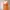 Princess Gown Orange