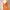 Princess Gown Orange photo 4