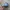 Vintage Ropehat / topi ropehat / topi trucker  photo 6