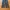 Brenda brended seoul korea cargo angkle pants photo 2