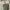 Cargo Carhat Aviaton photo 4