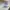 Thisirt adlv photo 8