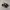 Adidas Campus 00S Carbon Black  photo 2