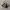 Adidas Campus 00S Korn Black White photo 2