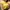 lemon crop top photo 1