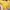 lemon crop top photo 2