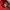 Adidas Adizero Adios Pro 4 Red Black photo 6