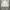 Yves saint laurent pour homme jacket photo 1