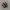 Nike Shox TL Red Bunglon