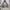 Micaioh studios double zip hooded jacket photo 4