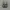 Nike Air Max Plus Tn Drift Panda  photo 5