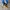 Adidas Superstar Originals 80s Snake Skin photo 1