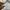 Polo Ralph Lauren Shirt White Stripe Blue Vague photo 7