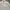 Polo Ralph Lauren Shirt White Stripe Blue Vague photo 2