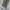 TIMBERLAND BROOKLYN GREY SIZE 43 photo 2