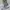 TIMBERLAND BROOKLYN GREY SIZE 43 photo 6
