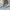TIMBERLAND BROOKLYN GREY SIZE 43 photo 1