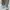 TIMBERLAND BROOKLYN GREY SIZE 43 photo 5