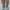 TIMBERLAND BROOKLYN GREY SIZE 43 photo 4