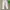 Casual Minimalist Casual trouser Wanita white photo 4