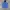 JNCO ZIPPER photo 4