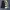 y2k BIllabong Andy Irons Signature Boardshorts  photo 3