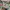 Dress Floral Off Shoulder – Motif Bunga Warna-Warni photo 4