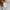Vintage kangol streetwear y2k gray photo 6