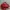 Anello Red Sling Bag