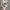 Asbak skull spike photo 1