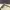 Gentle Monster - Eve Sunglasses photo 5