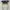 Gentle Monster - Lang Sunglasses