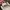 Vans Old Skool Mule 'Pattern Mix' VN0A4P3Y6V2 photo 3