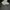 NIKE SWOOSH BASKETBALL SHOES 