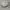 Topi Flat Cap Hat Kangol Second Original topi copet  photo 1