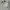 Topi Flat Cap Hat Kangol Second Original topi copet  photo 6