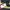 Rayban x Ferrari RB4195 Sunglasses photo 6