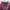 Tommy Hilfiger Streetwear Casual Shirt Pria Burgundy Black