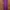 Miss selfridge Purple Long Dress photo 1