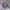 Tracktop Nike Barcelona 2018 photo 1