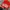 Stussy Streetwear Hat Pria red photo 2
