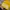 Stussy Streetwear Hat Pria yellow photo 2