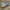 Nike Air Max 97 Metallic Gold Silver photo 2