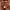 Hoodie OiOi oversize photo 4