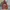 Hoodie OiOi oversize photo 1