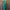 [DINNER NIGHT EDITION] Emerald Maxi Dress  photo 1