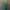 [DINNER NIGHT EDITION] Emerald Maxi Dress 
